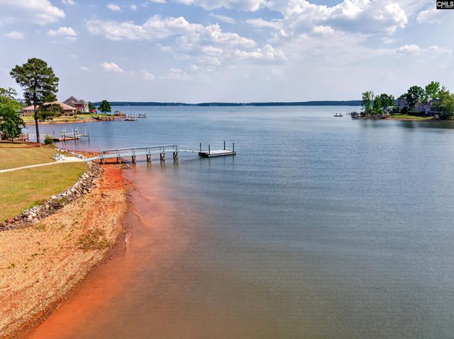 104 Turtle Point Court, Chapin, SC 29036