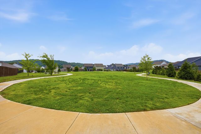 3525 Haystack Lane, Apison, TN 37302