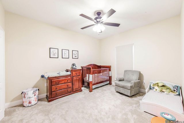 32147 Lower Rome Rd, Springfield, LA 70462