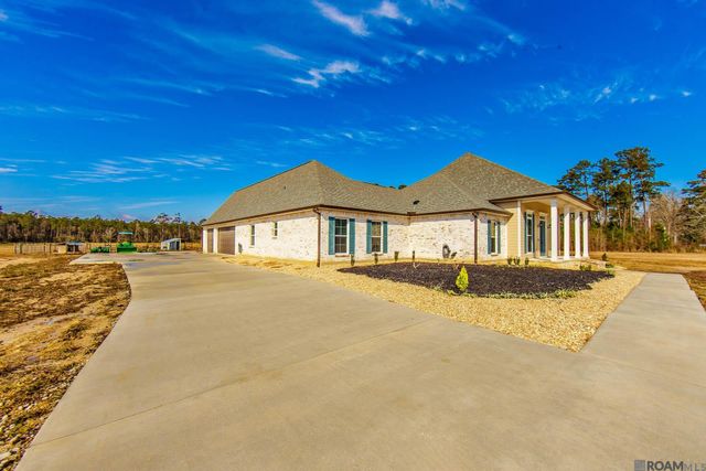 32147 Lower Rome Rd, Springfield, LA 70462