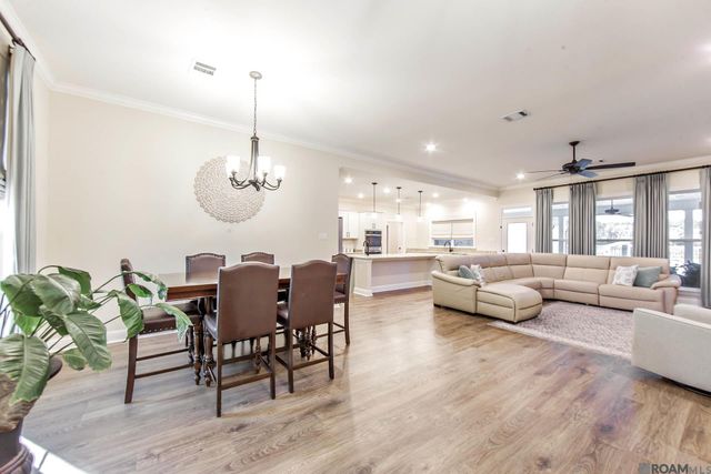 32147 Lower Rome Rd, Springfield, LA 70462