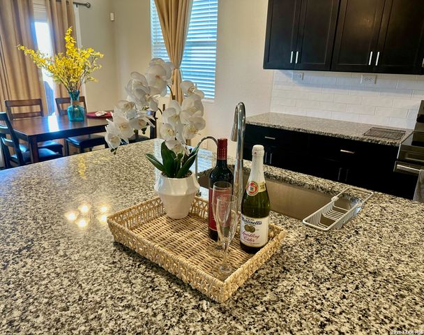 257 PUDU TRL, Cibolo, TX 78108