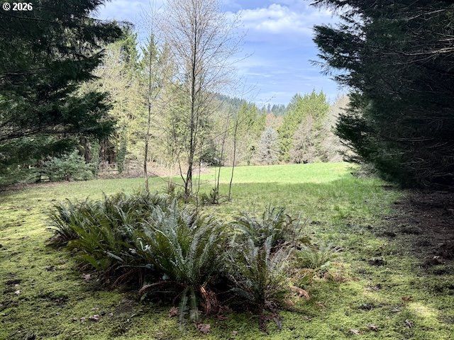 814 Nw PLEASANT VIEW Dr, La Center, WA 98629