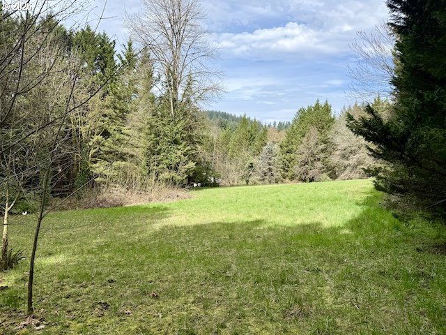 814 Nw PLEASANT VIEW Dr, La Center, WA 98629
