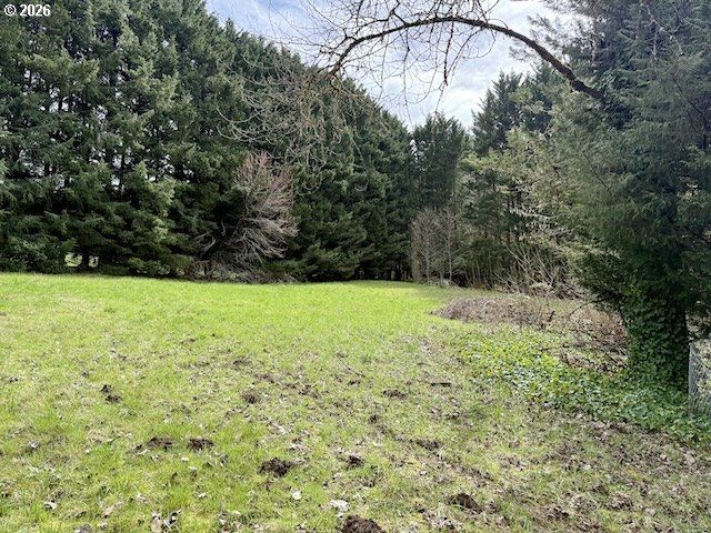 814 Nw PLEASANT VIEW Dr, La Center, WA 98629