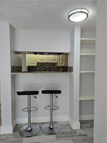 4411 SHADY TERRACE LANE 114, Tampa, FL 33613