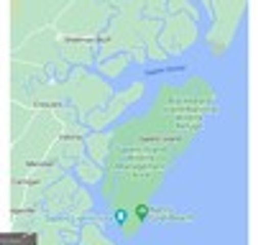 1031 NE Moore Haven Circle NE, Townsend, GA 31331