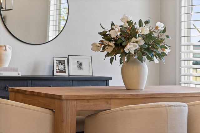 1724 Hollyhock Drive, Celina, TX 75009