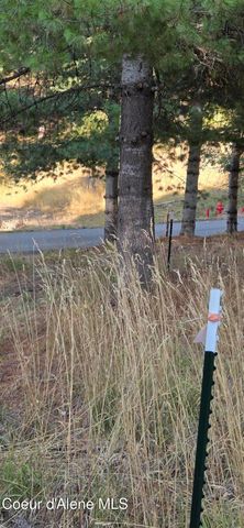 924 Lower Page Rd, Smelterville, ID 83868