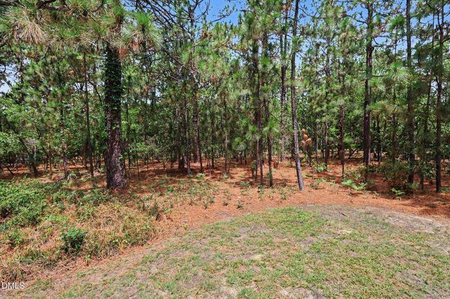 108 Pinnacle Court, Seven Lakes, NC 27376