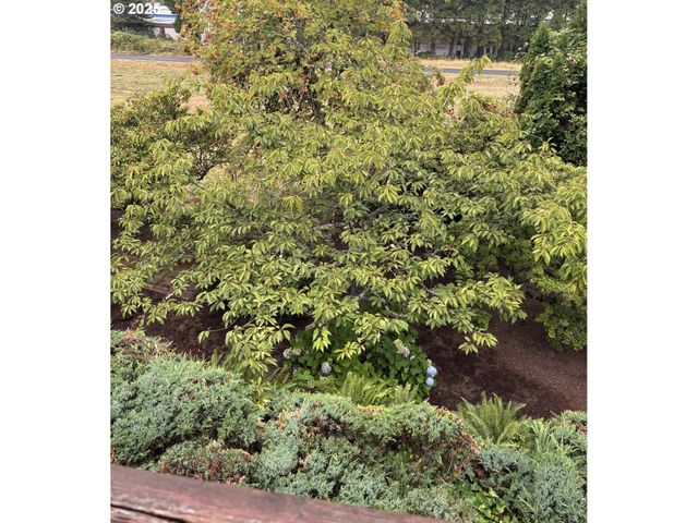 815 Nw BATTAGLIA Ave, Gresham, OR 97030