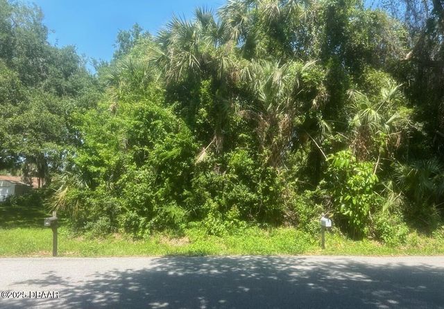 00 Orange Tree Drive, Edgewater, FL 32141