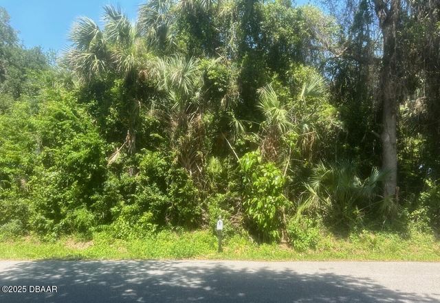 00 Orange Tree Drive, Edgewater, FL 32141