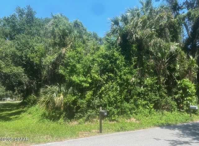 00 Orange Tree Drive, Edgewater, FL 32141