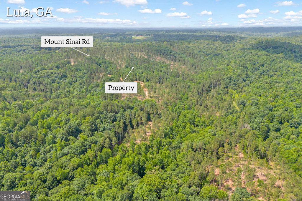 0 Mt. Sinai LOT 8, Lula, GA 30554 — photo 5