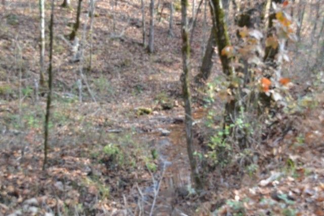 0 Wet Mill Creek Rd, Celina, TN 38551