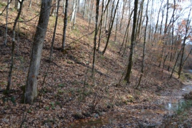 0 Wet Mill Creek Rd, Celina, TN 38551