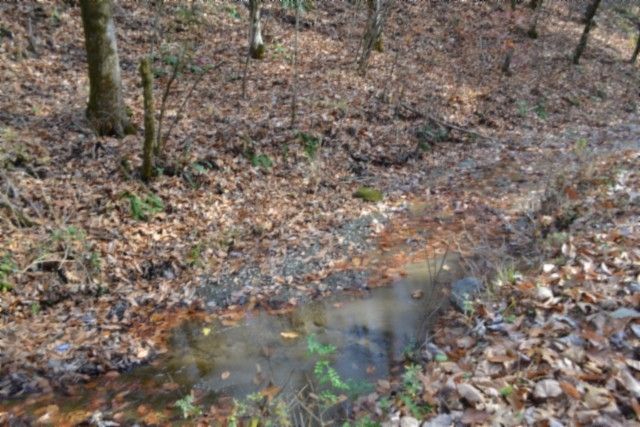 0 Wet Mill Creek Rd, Celina, TN 38551