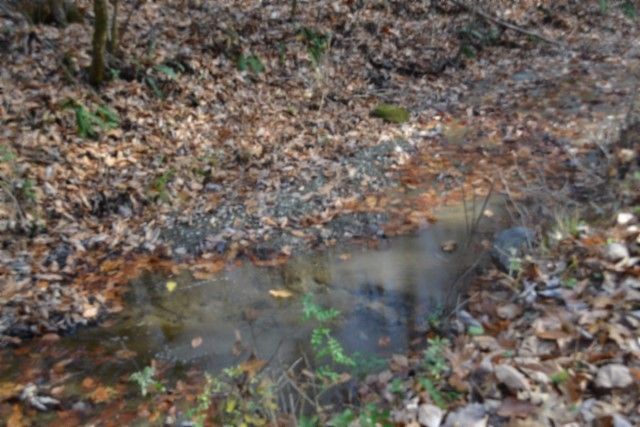 0 Wet Mill Creek Rd, Celina, TN 38551