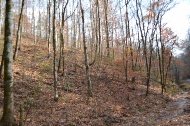 0 Wet Mill Creek Rd, Celina, TN 38551