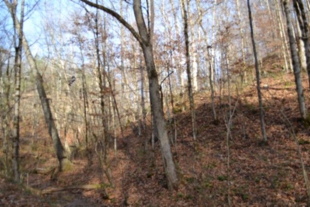 0 Wet Mill Creek Rd, Celina, TN 38551