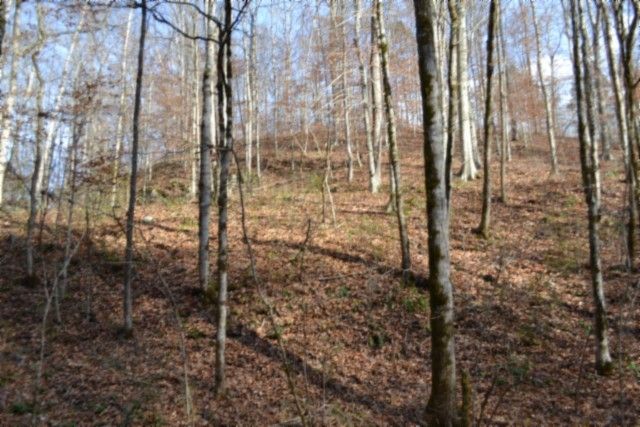 0 Wet Mill Creek Rd, Celina, TN 38551