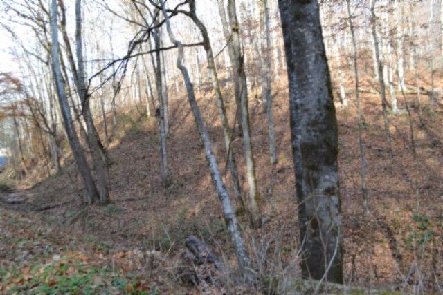 0 Wet Mill Creek Rd, Celina, TN 38551