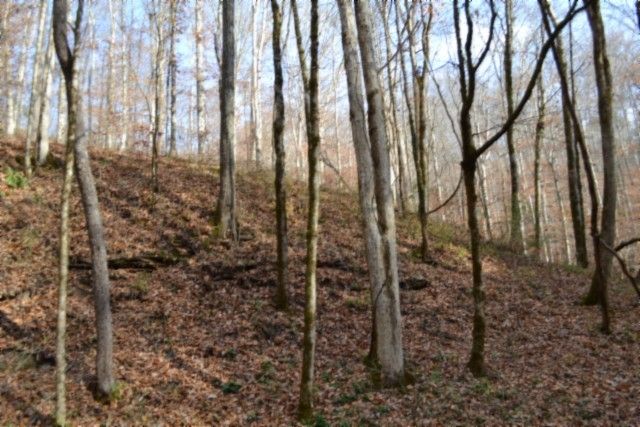 0 Wet Mill Creek Rd, Celina, TN 38551