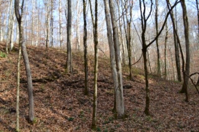 0 Wet Mill Creek Rd, Celina, TN 38551