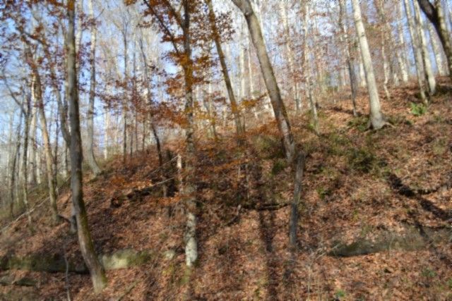 0 Wet Mill Creek Rd, Celina, TN 38551