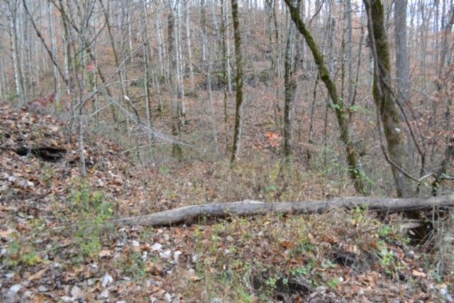 0 Wet Mill Creek Rd, Celina, TN 38551