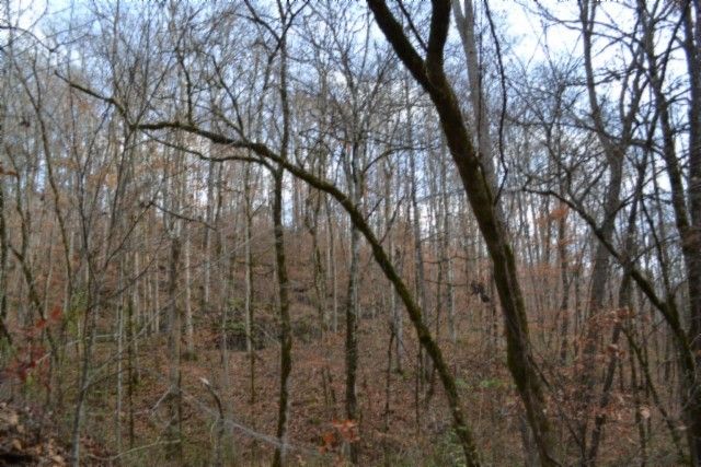 0 Wet Mill Creek Rd, Celina, TN 38551