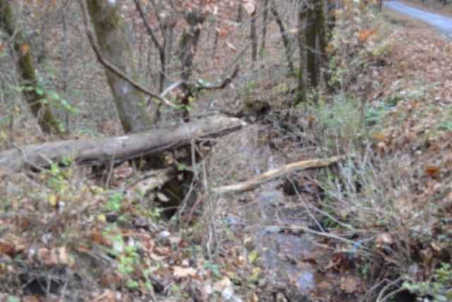 0 Wet Mill Creek Rd, Celina, TN 38551