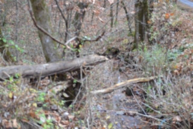 0 Wet Mill Creek Rd, Celina, TN 38551