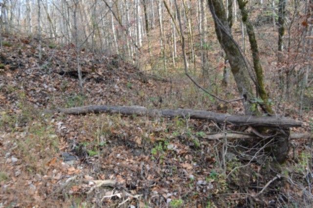 0 Wet Mill Creek Rd, Celina, TN 38551