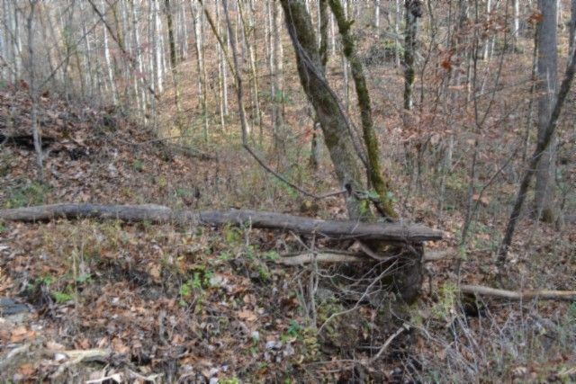 0 Wet Mill Creek Rd, Celina, TN 38551