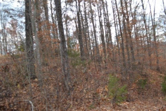 0 Wet Mill Creek Rd, Celina, TN 38551