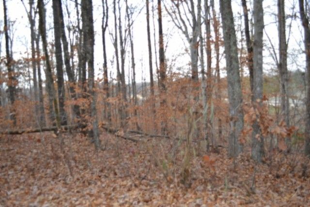 0 Wet Mill Creek Rd, Celina, TN 38551