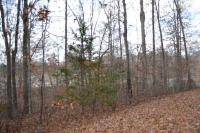 0 Wet Mill Creek Rd, Celina, TN 38551