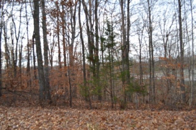 0 Wet Mill Creek Rd, Celina, TN 38551