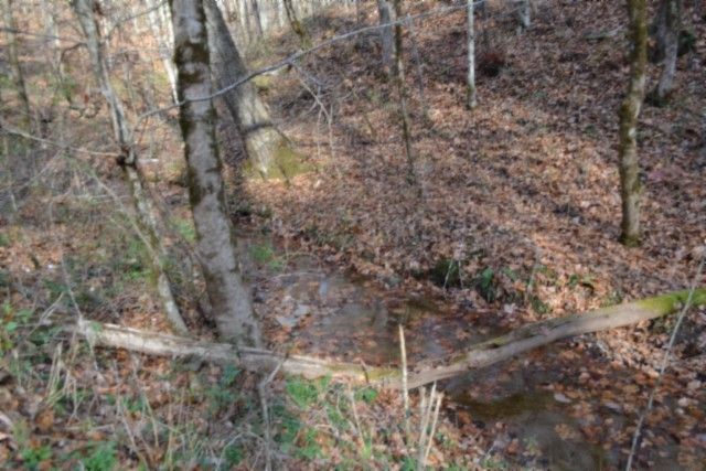 0 Wet Mill Creek Rd, Celina, TN 38551