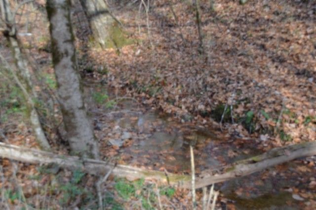 0 Wet Mill Creek Rd, Celina, TN 38551