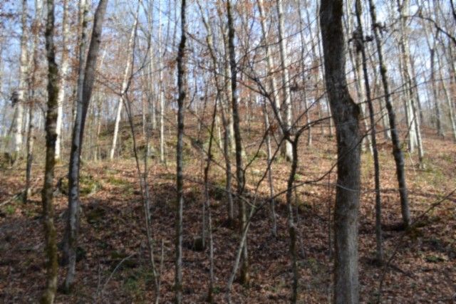 0 Wet Mill Creek Rd, Celina, TN 38551