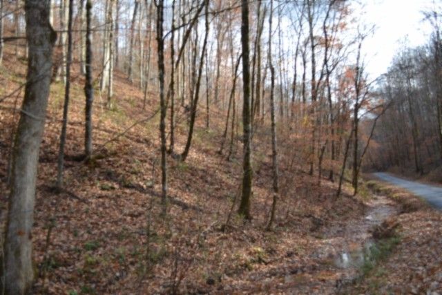 0 Wet Mill Creek Rd, Celina, TN 38551