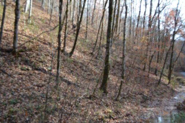 0 Wet Mill Creek Rd, Celina, TN 38551