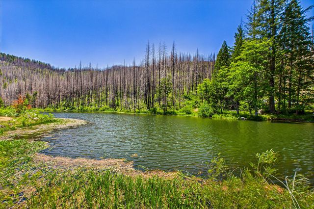 2103 Coffee Creek Road, Trinity Center, CA 96091