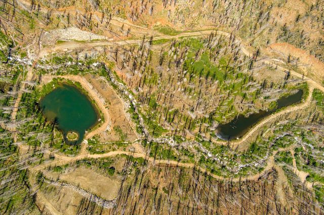 2103 Coffee Creek Road, Trinity Center, CA 96091