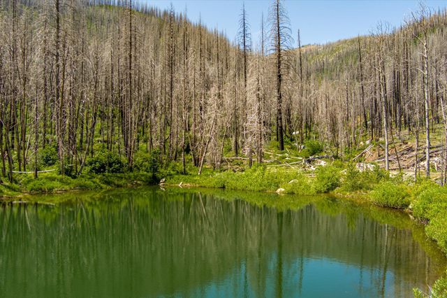 2103 Coffee Creek Road, Trinity Center, CA 96091