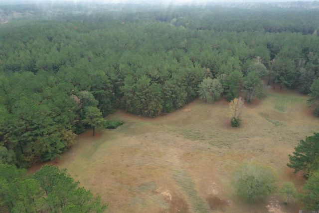 67.77 acres La Hwy 421, St Francisville, LA 70775