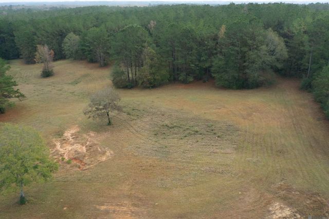 67.77 acres La Hwy 421, St Francisville, LA 70775